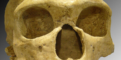 Data-driven research shows that Neanderthal gene connected to severity of COVID-19 (Update)