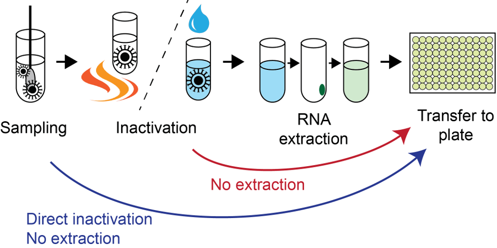 Method circumventing RNA extraction in RT-PCR COVID-19 testing published along with data